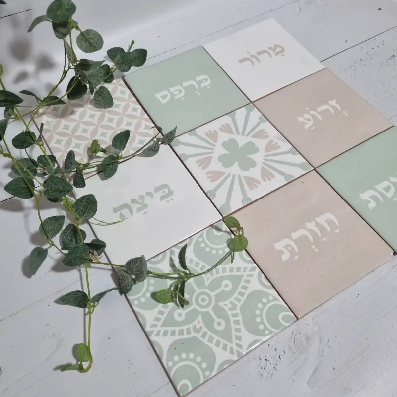 צלחת פסח ממותגת